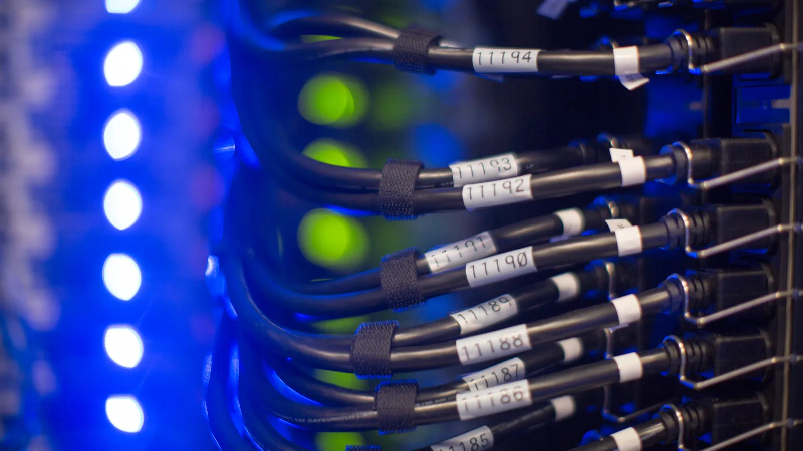Close-up of labeled network cables and green status lights on a rack of servers.